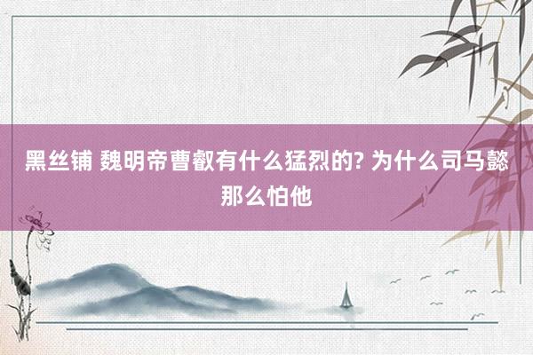 黑丝铺 魏明帝曹叡有什么猛烈的? 为什么司马懿那么怕他