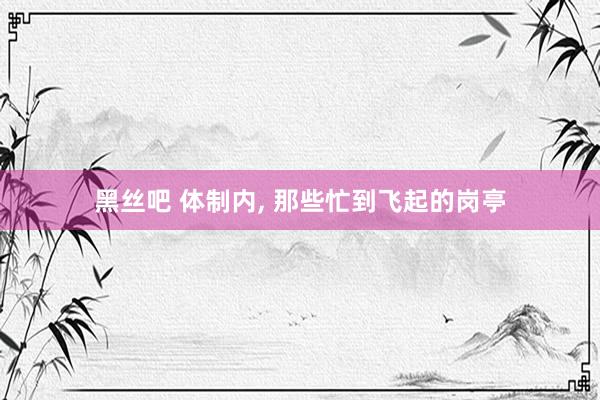 黑丝吧 体制内, 那些忙到飞起的岗亭