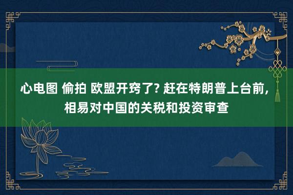 心电图 偷拍 欧盟开窍了? 赶在特朗普上台前, 相易对中国的