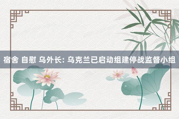 宿舍 自慰 乌外长: 乌克兰已启动组建停战监督小组