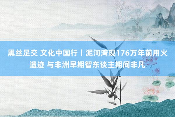 黑丝足交 文化中国行丨泥河湾现176万年前用火遗迹 与非洲早